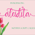 Aleidita Font Poster 1