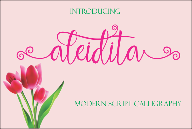 Aleidita Font Aleidita Font Poster 1
