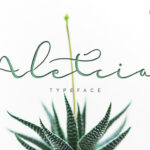 Aletcia Font Poster 1