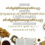 Allita Font Poster 5