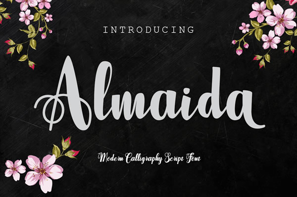 Almaida Font Poster 1