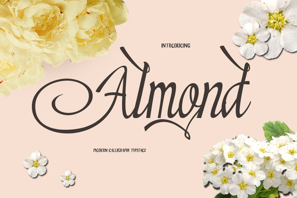 Almond Font Poster 1
