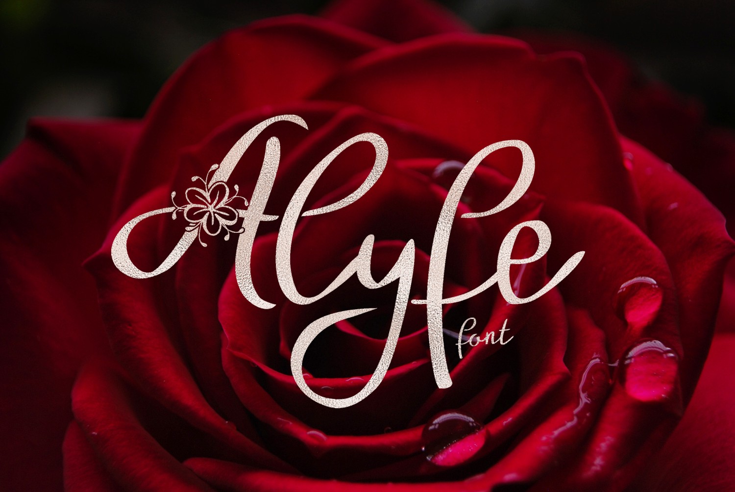 Alyfe Font Poster 1