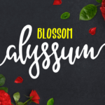 Alyssum Blossom Font Poster 1