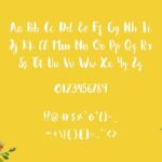 Amelina Font Poster 4