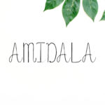Amidala Font Poster 1