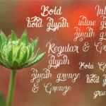 Amora Script Font Poster 2