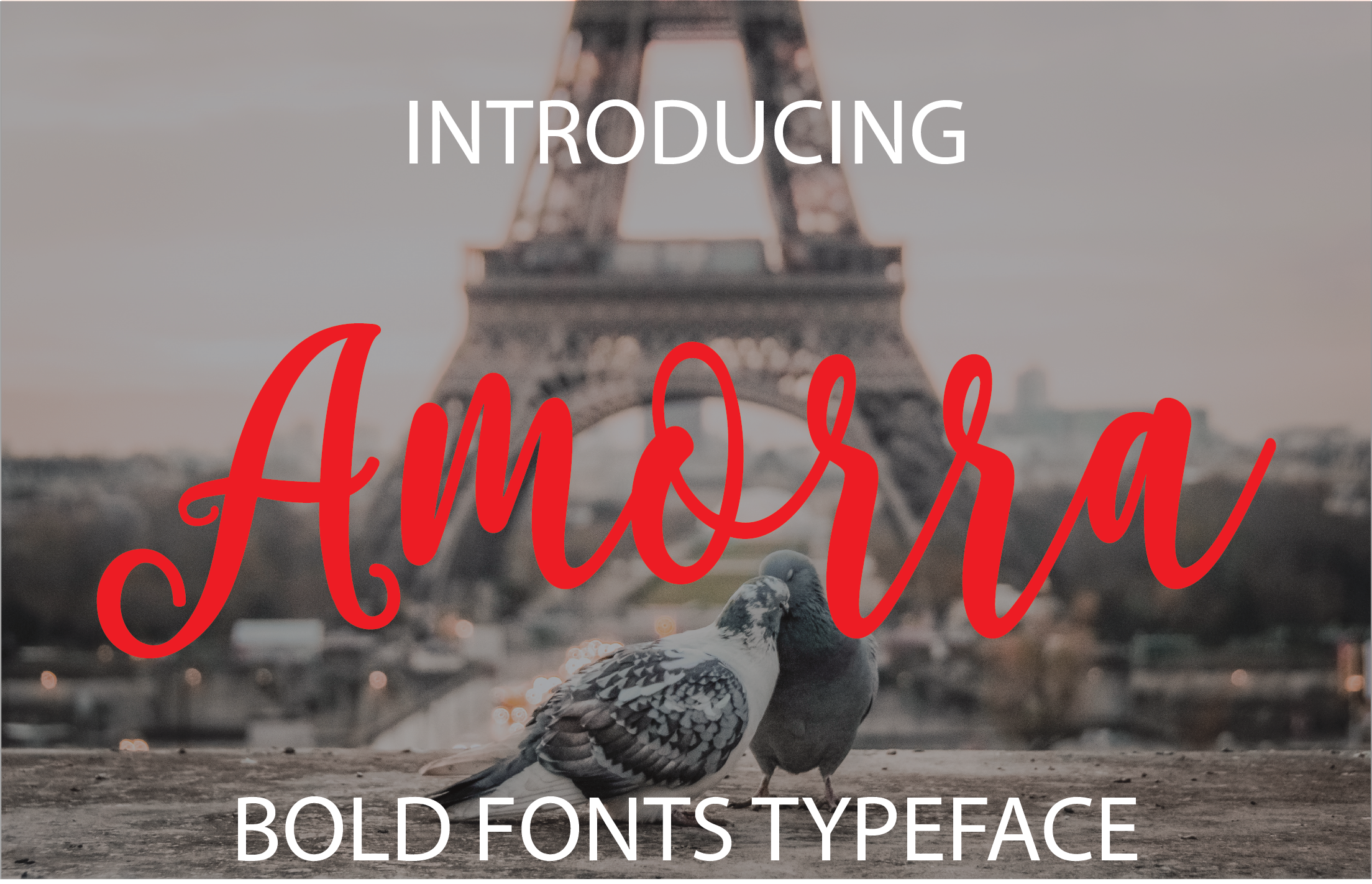 Amorra Font