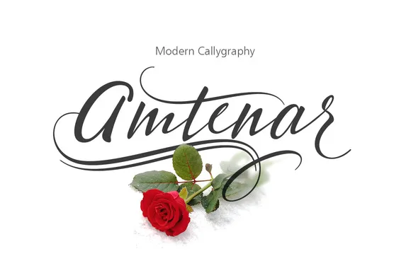Amtenar Font Amtenar Font Poster 1