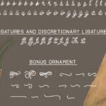 Andara Script Font Poster 7