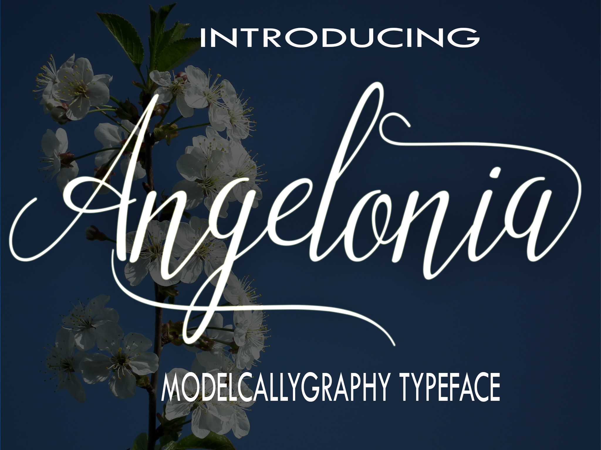 Angelonia Font Poster 1