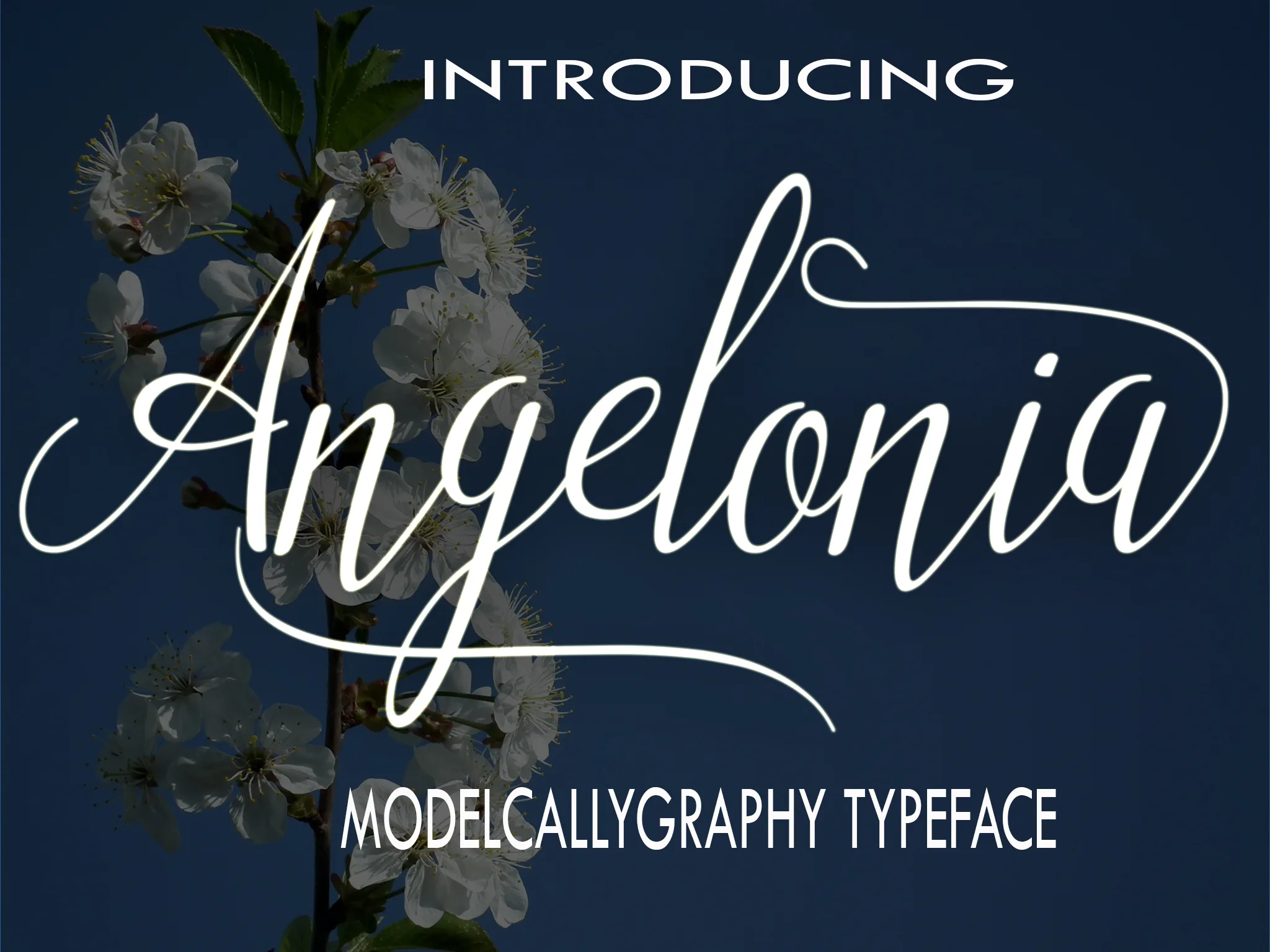 Angelonia Font Angelonia Font Poster 1