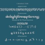 Anggie Font Poster 4