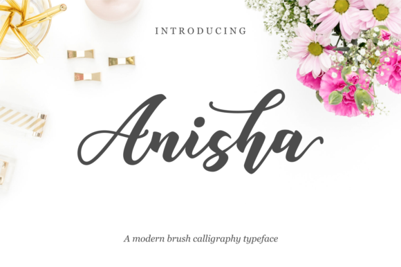 Anisha Font Poster 1