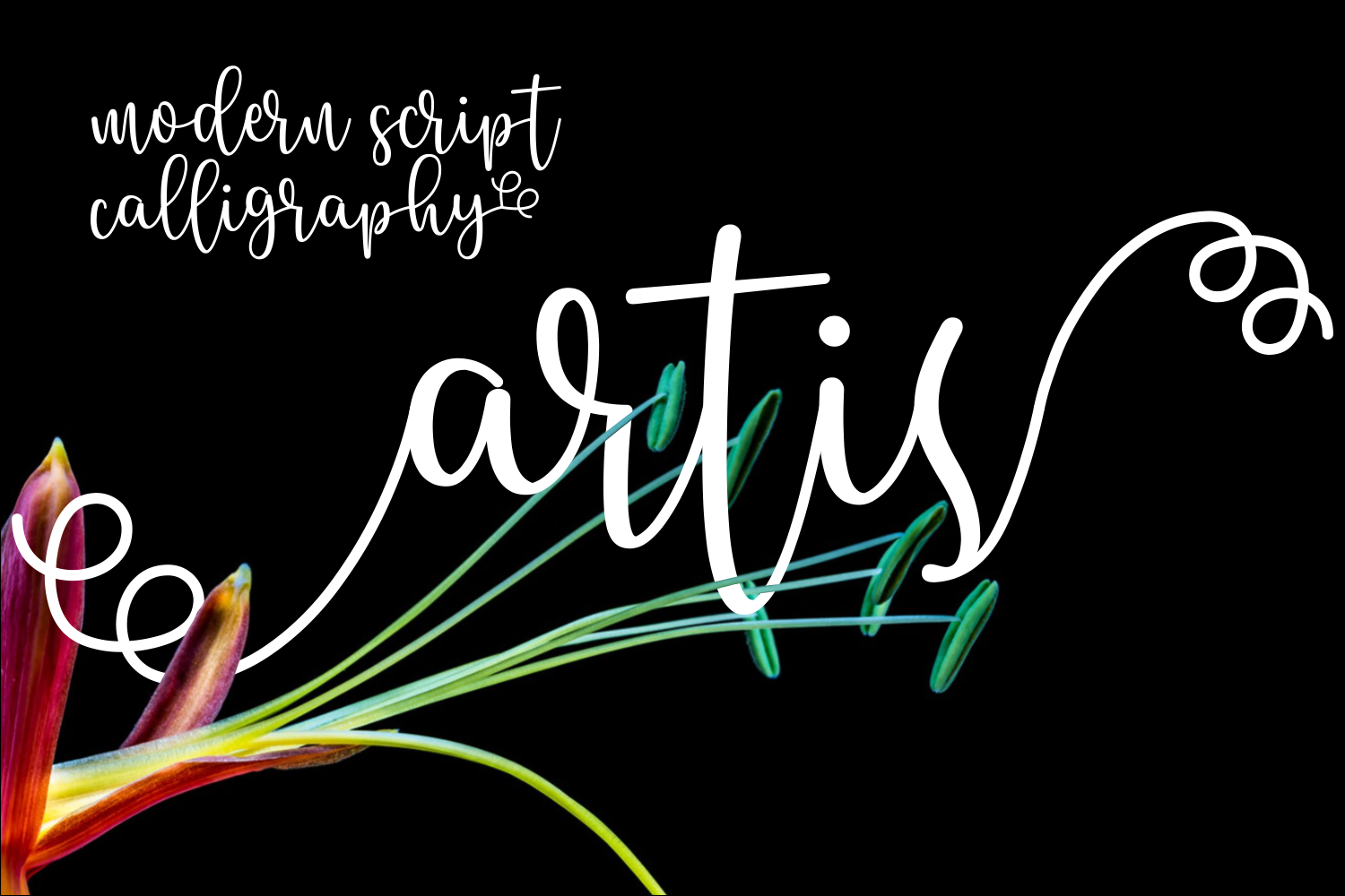 Artis Font