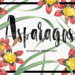 Asparagus Font Poster 1