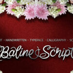 Baline Script Font Poster 1