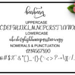 Barbara Script Font Poster 8