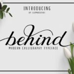 Behind Font Poster 1