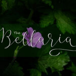 Bellaria Script Font Poster 3