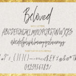 Beloved Font Poster 8