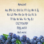 Blueberry Font Poster 2