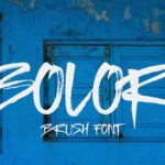 Bolor Font Poster 1