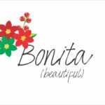 Bonita Font Poster 5