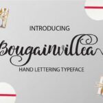 Bougainvillea Font Poster 1