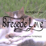 Bregede Love Font Poster 1