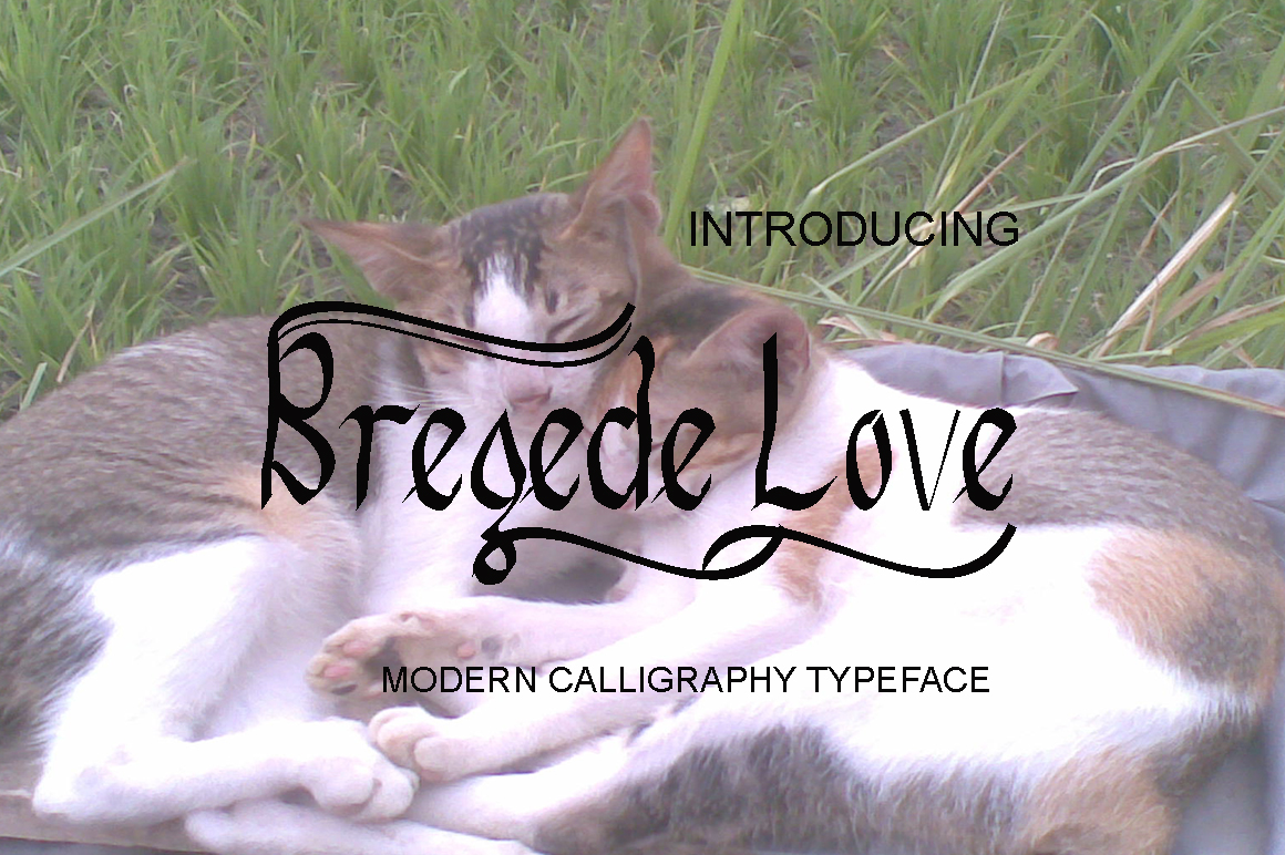 Bregede Love Font