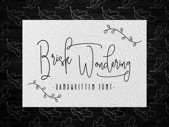 Brisk Wondering Font