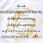 Bronetto Font Poster 9