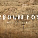 Brown Fox Font Poster 1