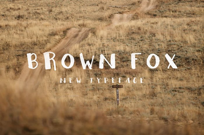 Brown Fox Font Poster 1