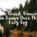 Brown Fox Font Poster 4