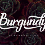 Burgundy Font Poster 1