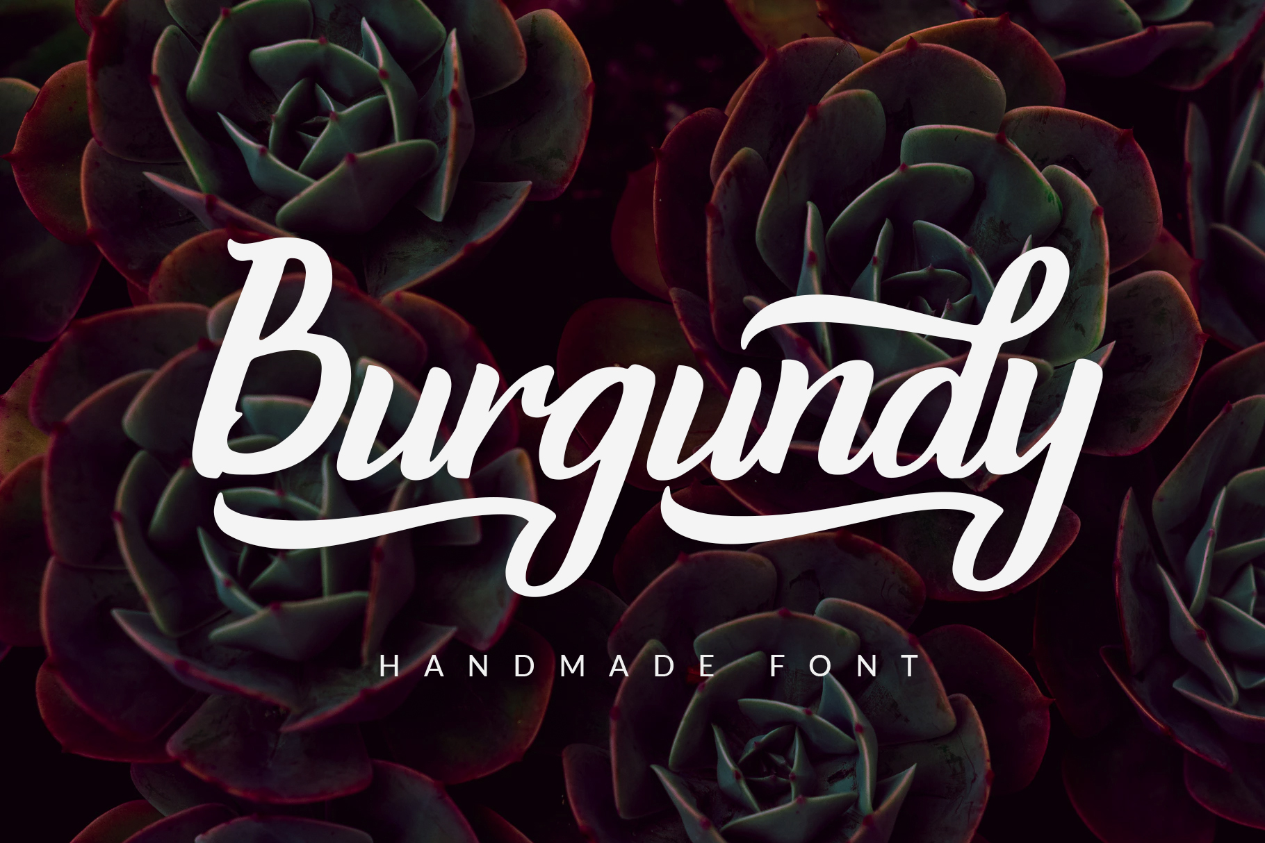 Burgundy Font Poster 1