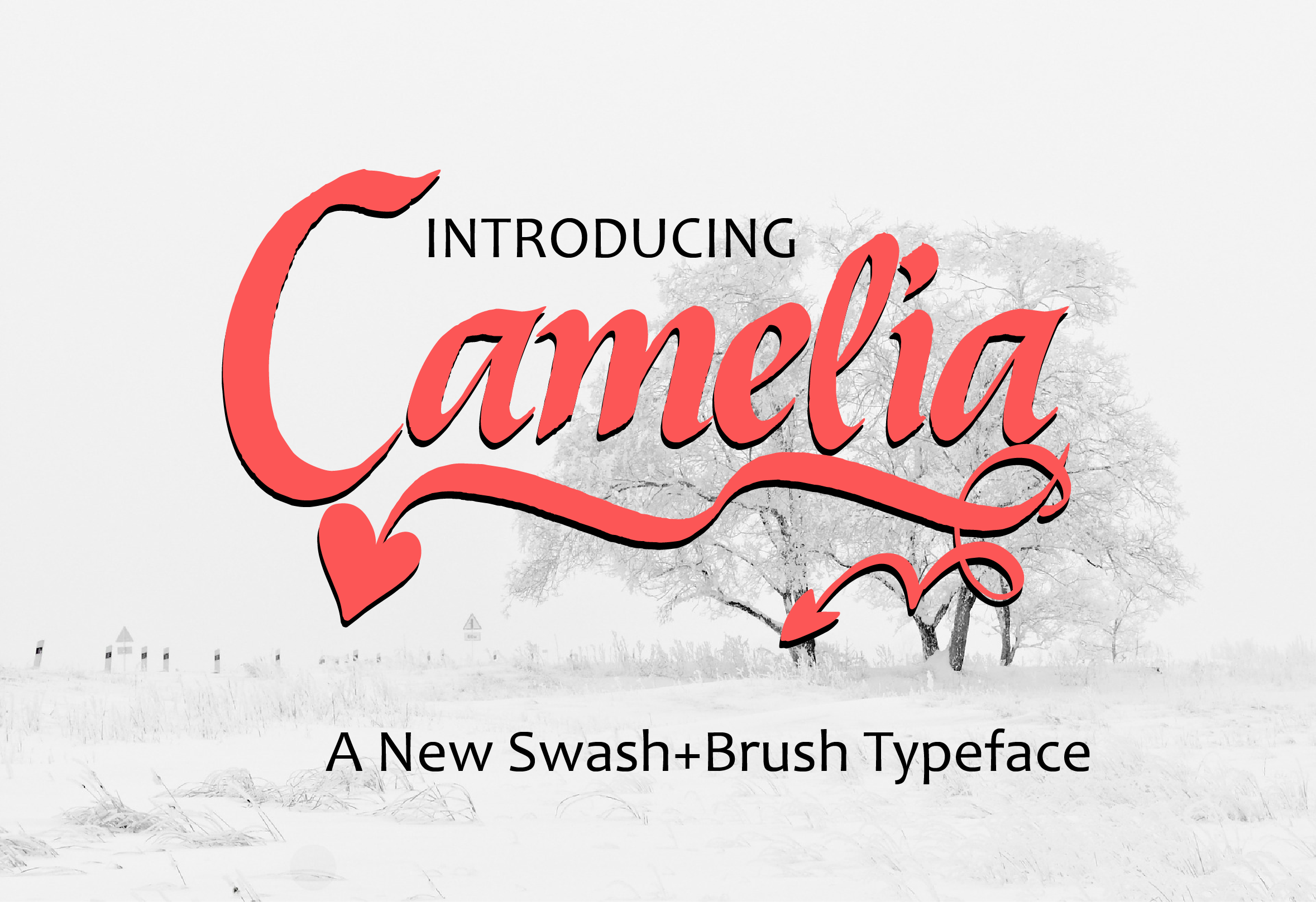 Camelia Font