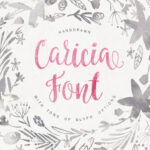 Caricia Font Poster 1