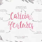 Caricia Font Poster 2