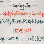 Carlagata Font Poster 6