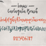 Carlagata Font Poster 8