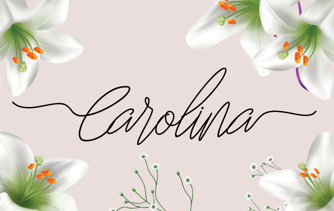 Carolina Font Poster 1