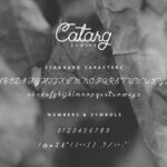 Catarg Font Poster 9