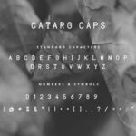 Catarg Font Poster 10