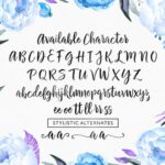 Chamelia Font Poster 10