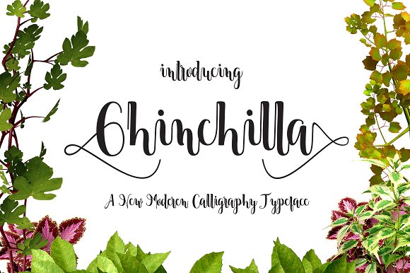Chinchilla Font Poster 1