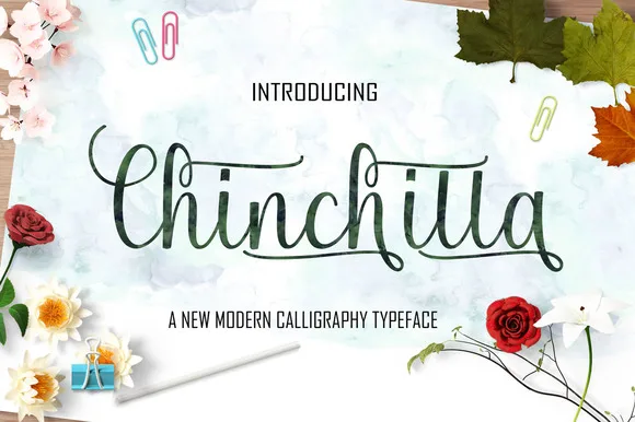 Chinchilla Font Chinchilla Font Poster 1