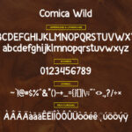 Comica Font Poster 4